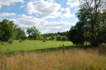 Rolling Springs Farm, Gently Rolling Pastures with tree lines for horses