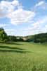 Rolling Springs Farm
