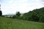 Rolling Springs Farm