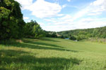 Rolling Springs Farm