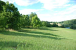 Rolling Springs Farm