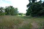 Rolling Springs Farm