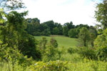 Rolling Springs Farm
