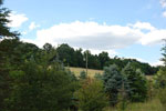 Rolling Springs Farm, Electric on site