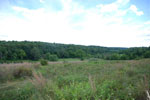 Rolling Springs Farm
