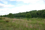 Rolling Springs Farm, Electric on site