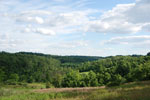Rolling Springs Farm