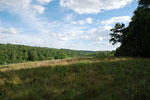 Rolling Springs Farm