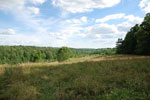Rolling Springs Farm, Mountain Views