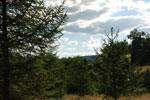 Rolling Springs Farm, views of Sleepy Creek Mountain