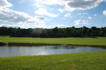 Rolling Springs Farm