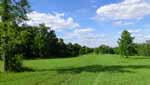 Rolling Springs Farm