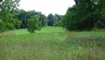 Rolling Springs Farm