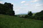 Rolling Springs Farm