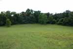 Rolling Springs Farm