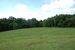 Rolling Springs Farm