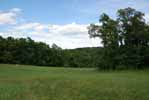 Rolling Springs Farm