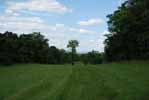 Rolling Springs Farm