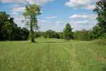 Rolling Springs Farm