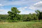 Rolling Springs Farm