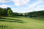Rolling Springs Farm