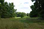 Rolling Springs Farm