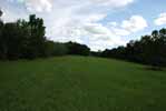 Rolling Springs Farm