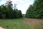 Rolling Springs Farm