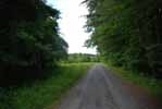 Rolling Springs Farm