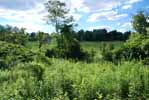 Rolling Springs Farm