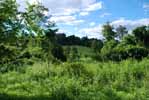 Rolling Springs Farm
