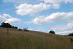 Rolling Springs Farm