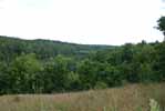 Rolling Springs Farm