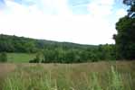 Rolling Springs Farm