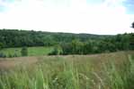 Rolling Springs Farm