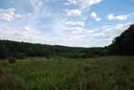 Rolling Springs Farm