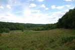 Rolling Springs Farm