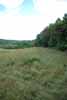 Rolling Springs Farm
