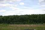 Rolling Springs Farm
