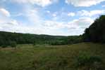 Rolling Springs Farm