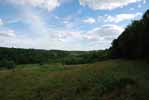 Rolling Springs Farm