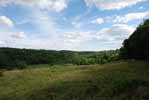 Rolling Springs Farm