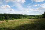 Rolling Springs Farm