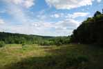 Rolling Springs Farm