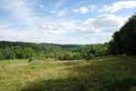 Rolling Springs Farm