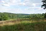 Rolling Springs Farm