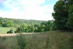Rolling Springs Farm
