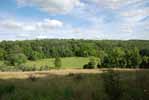 Rolling Springs Farm