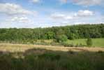 Rolling Springs Farm