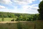 Rolling Springs Farm
